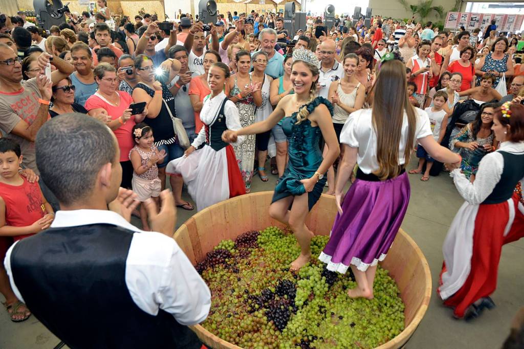 Festa da Uva tem feira de vinhos, workshops e shows em Jundiaí