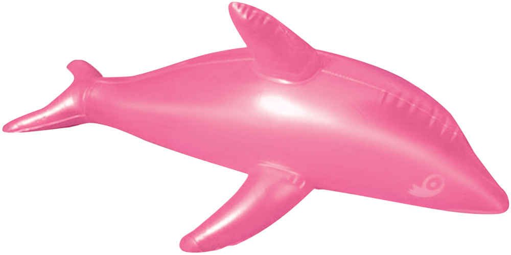 golfinho.jpg Bóia em formato de golfinho. Material transparente e rosa