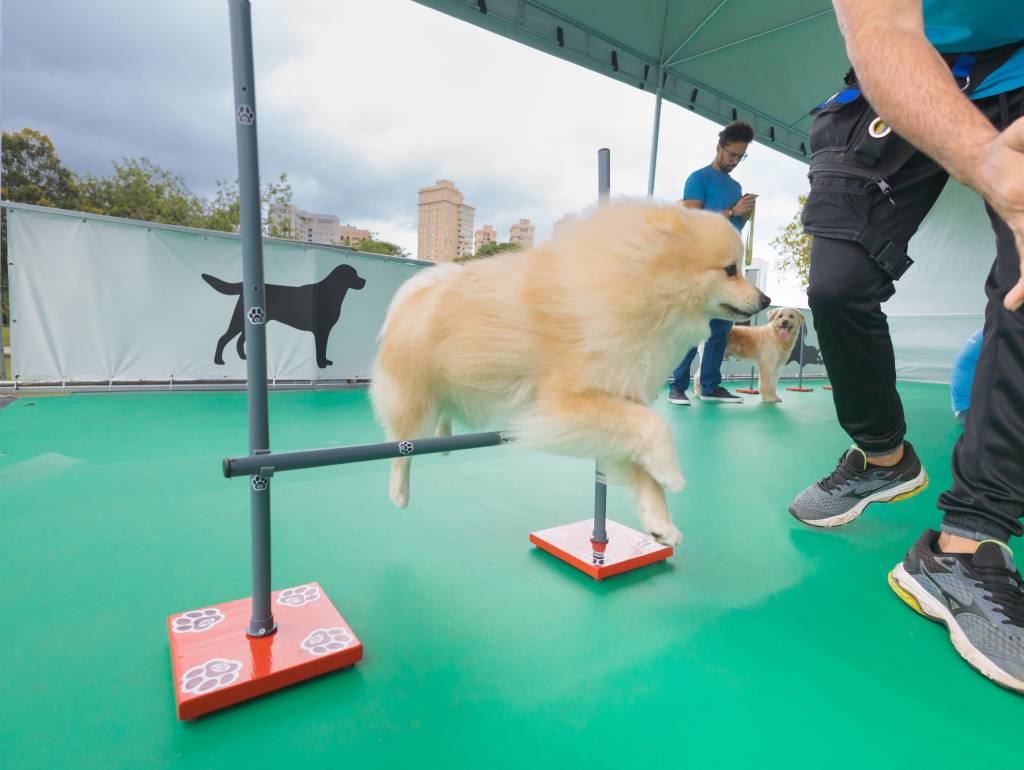 Exposição de Monet no Villa-Lobos inaugura espaço pet friendly