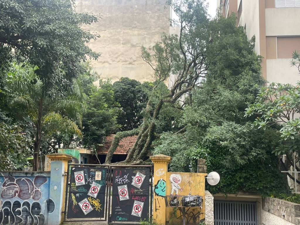 Árvore cai na lateral de edifício na Consolação e quebra janelas