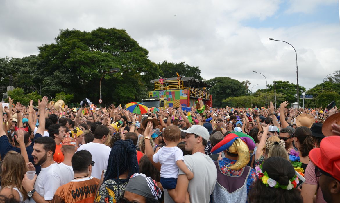 São Paulo - O bloco Frevo Mulher, comando a cantora Elba Ramalho no Ibirapuera, anima o pré carnaval paulistano (Rovena Rosa/Agência Brasil)