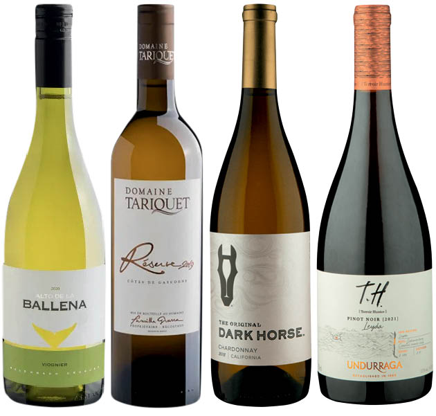 Um guia básico para harmonizar vinhos com peixes e frutos do mar