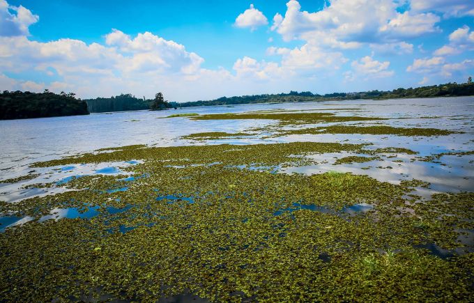 Falta de barreiras de contenção piora sujeira na Represa Guarapiranga