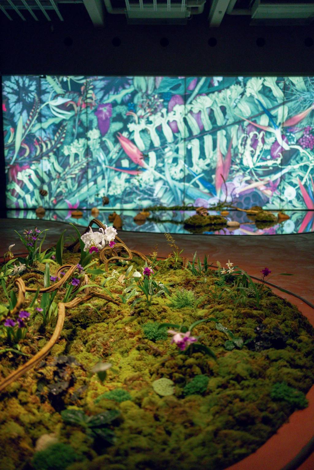 Japan House Jardim Interior Imagem mostra jardim e espelho d'água