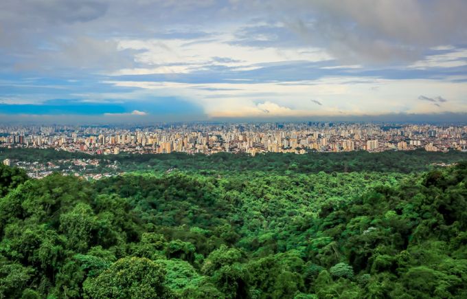 Trilha pela mata para acessar mirante é uma das novidades do Cantareira