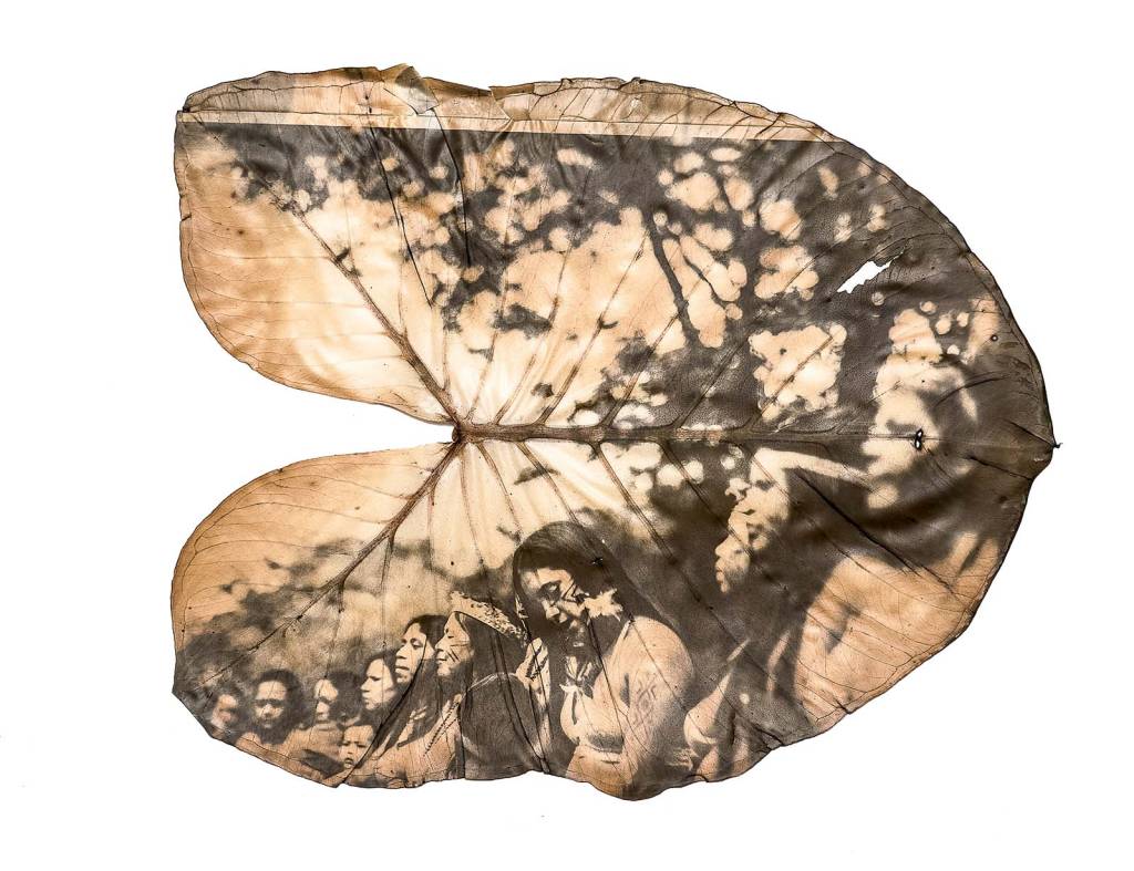 Mostra alerta para a questão indígena com fotografias impressas em folhas