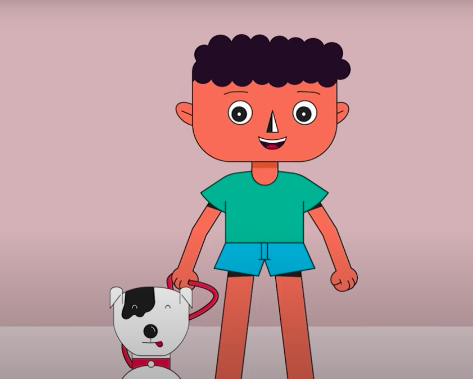 USP disponibiliza série sobre febre maculosa para crianças