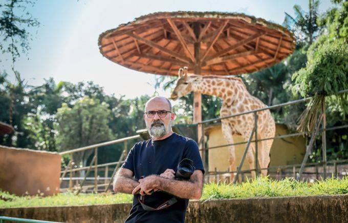 Fotógrafo do Zoológico já passou perrengues para captar imagens dos bichos