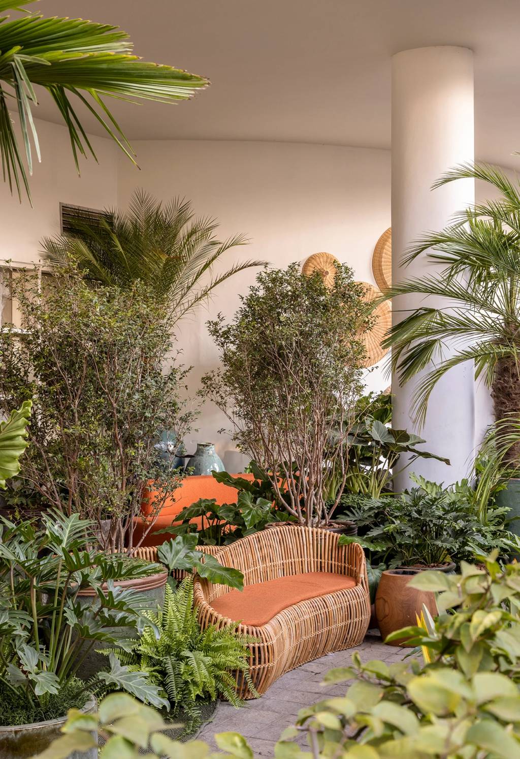 cate-poli-joao-jadao-mirante-paulista-casacor-sao-paulo-2023-credito-evelyn-muller-12 Catê Poli e João Jadão assinam um jardim tropical na Avenida Paulista