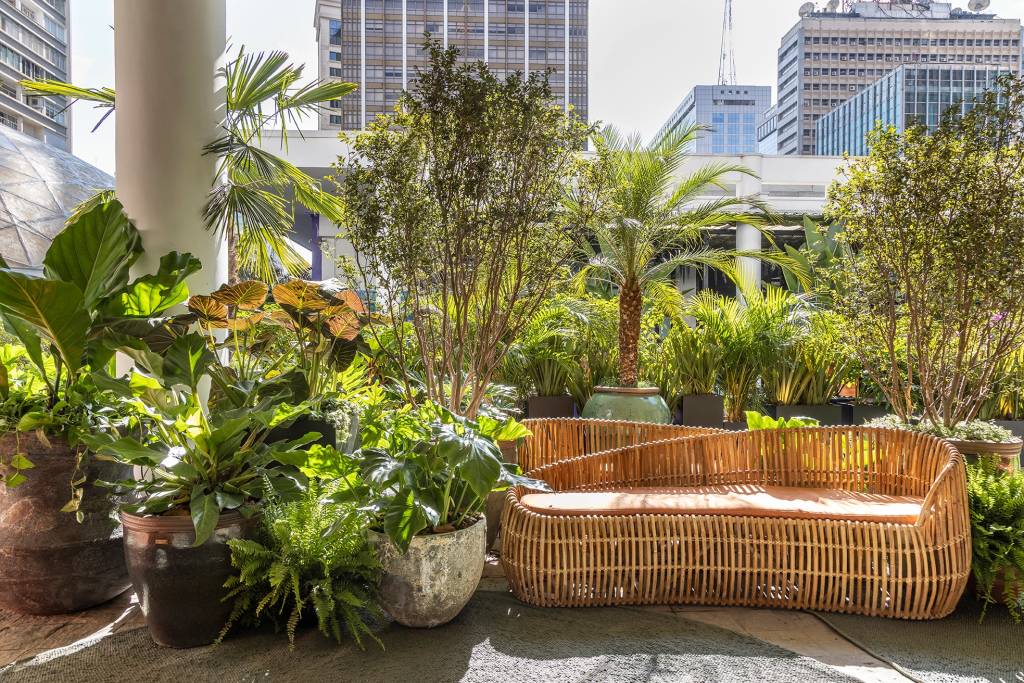 cate-poli-joao-jadao-mirante-paulista-casacor-sao-paulo-2023-credito-evelyn-muller-2 Catê Poli e João Jadão assinam um jardim tropical na Avenida Paulista