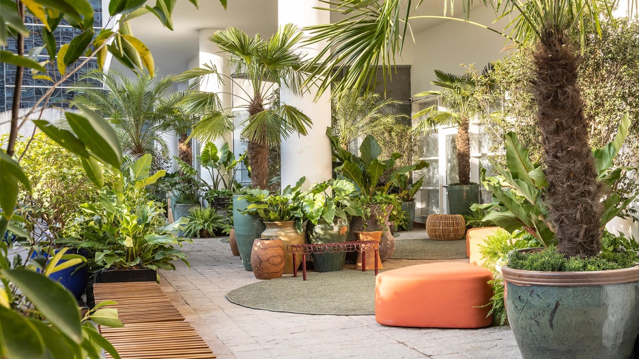 Catê Poli e João Jadão assinam um jardim tropical na Avenida Paulista