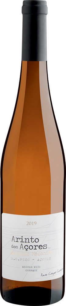 Vinho Garrafa de vinho em fundo branco.