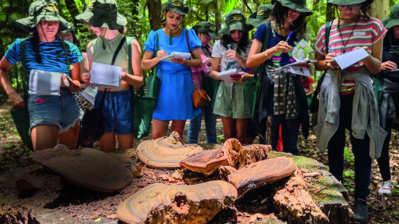 parque da ciencia férias butantan