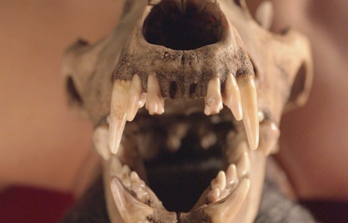 Mostra exibe acervo de materiais recolhidos em dez países por quinze anos