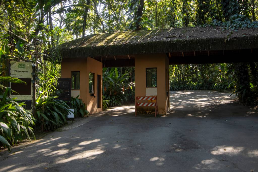 Zoo Safári fecha para reforma e só reabrirá em 2024