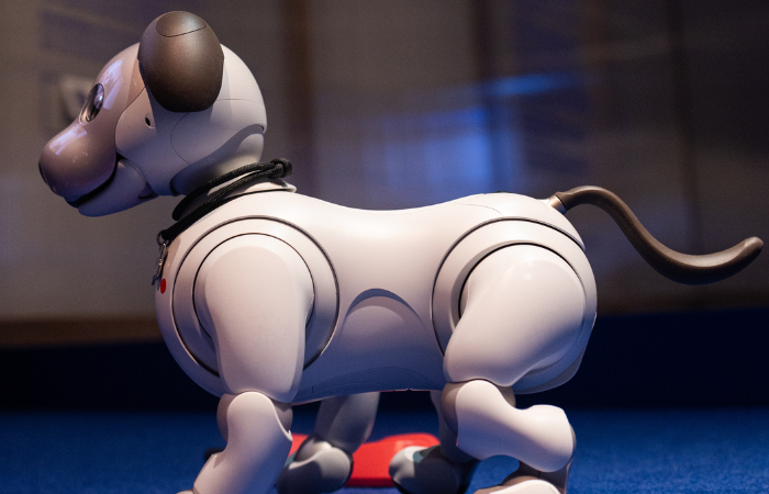 ‘Convivendo com robôs’, na Japan House, apresenta inventos futuristas