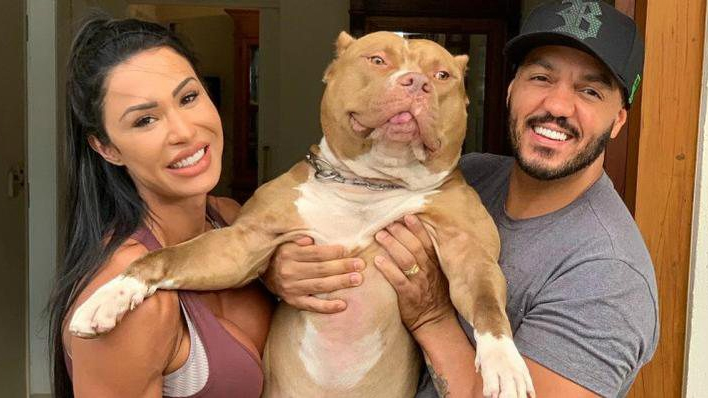 Gracyanne e Belo lamentam a perda de Thor, cachorro do casal
