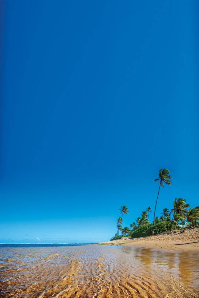 Praia do Forte in Bahia Praia do forte