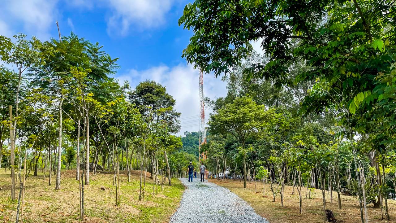 decreto-áreas-verdes-proteção-ambiental
