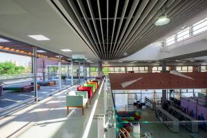 14 anos Biblioteca de São Paulo biblioteca-de-sao-paulo-14-anos