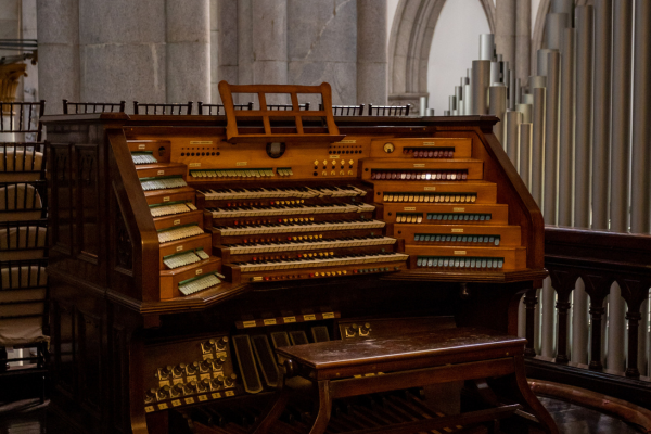 Danificado há vinte anos, órgão de tubos da Catedral da Sé será restaurado