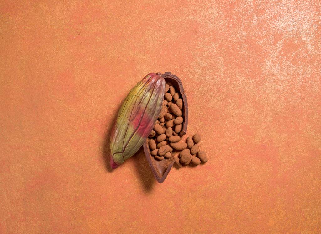 Dengo – chocolate dengo-chocolate-amazonia-cacau-pascoa