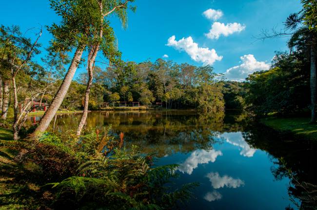 parque-nascentes-colonia