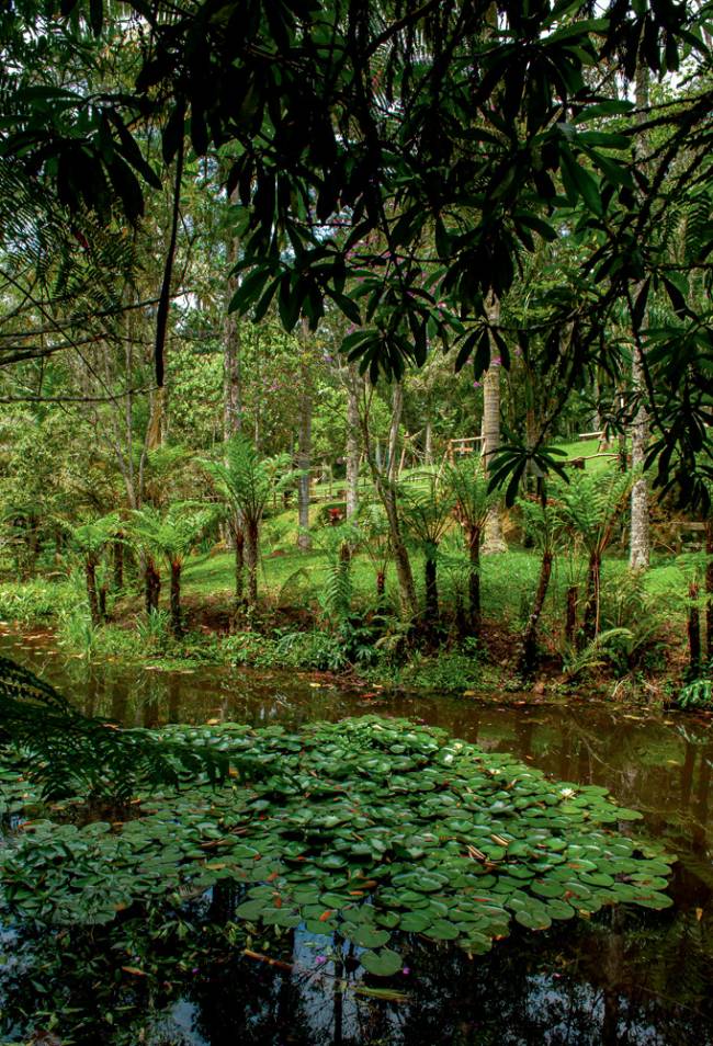 Polo de Ecoturismo de São Paulo – 12.03.2024 ¿ Parque Natural Municipal Itaim, Polo de Ecoturismo de São Paulo.Fotografias do Polo de Ecoturismo de São Paulo para matéria da Veja São Paulo com o jornalista Sérgio Quintella. Nesta foto: Parque Natu parque-natural-itaim