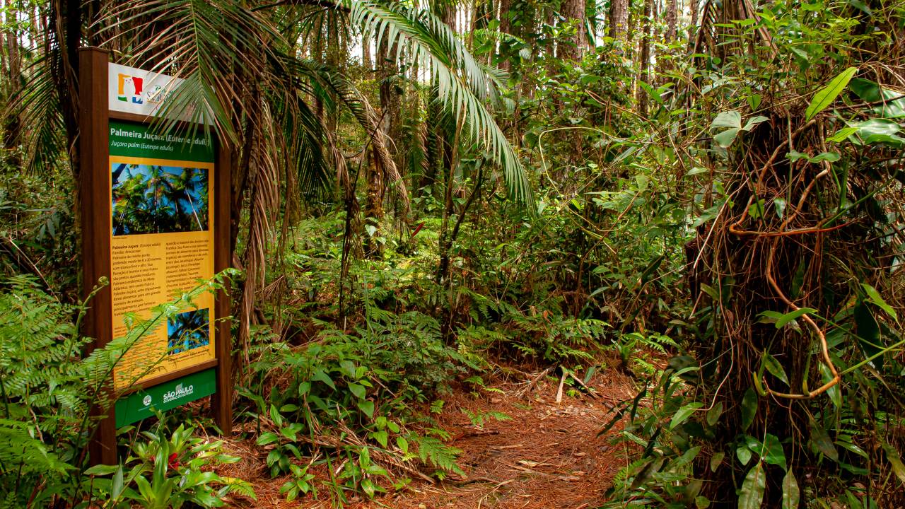 parque-serra-do-mar