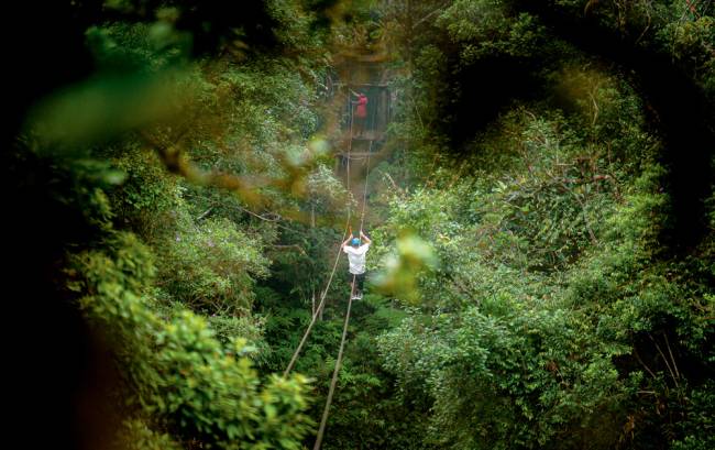 tirolesa-selva-sp