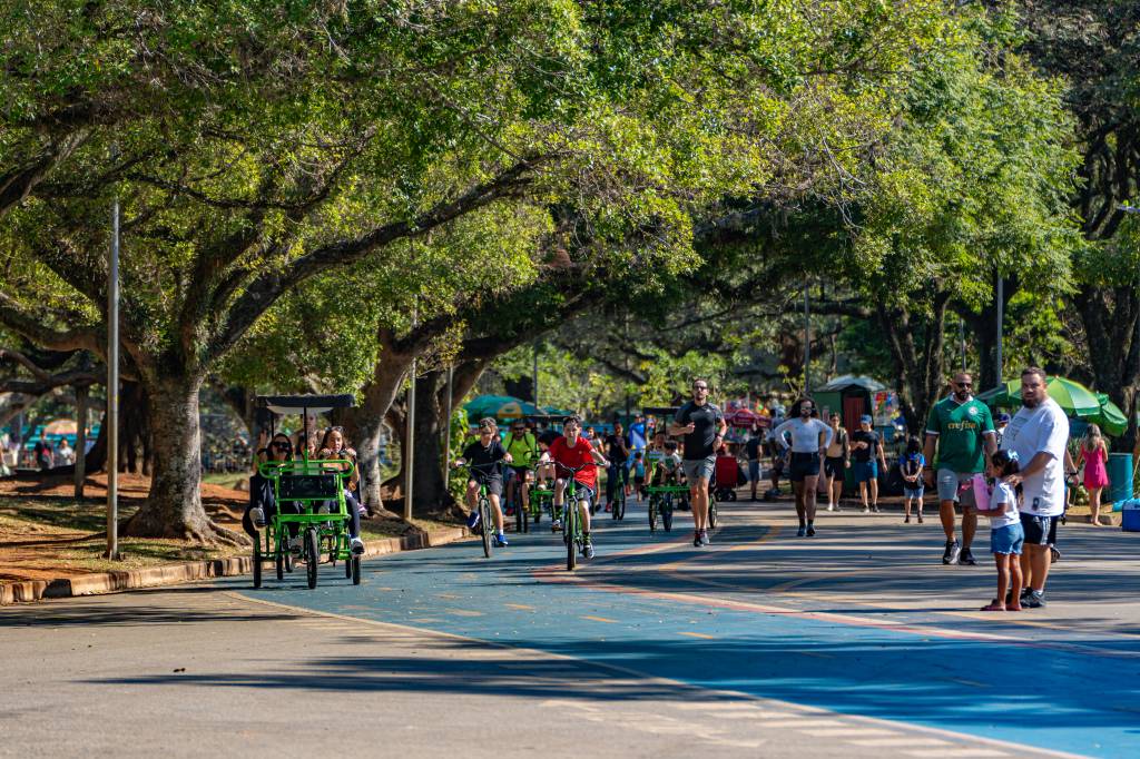 MP determina abertura de novo inquérito para investigar concessão de Ibirapuera