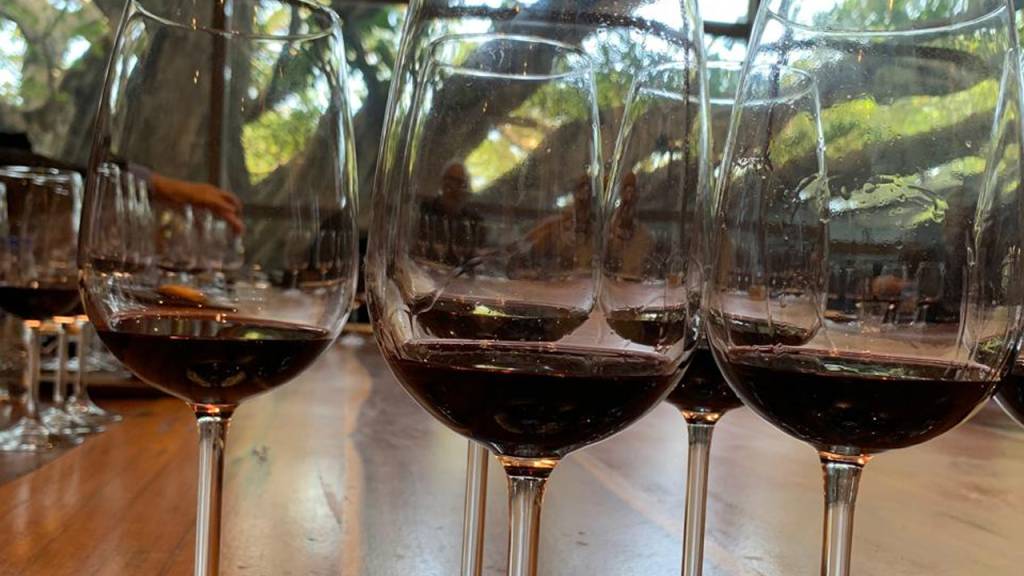 Esporão, Quinta do Crasto, Taylor’s: feira põe à prova vinhos da Qualimpor
