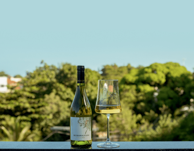 Wine lança linha própria de vinhos na faixa dos 30 reais