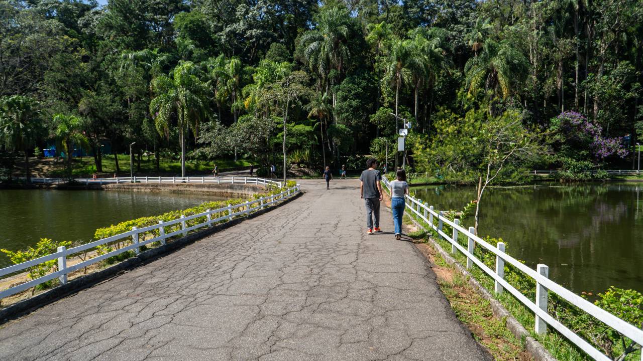 horto-florestal