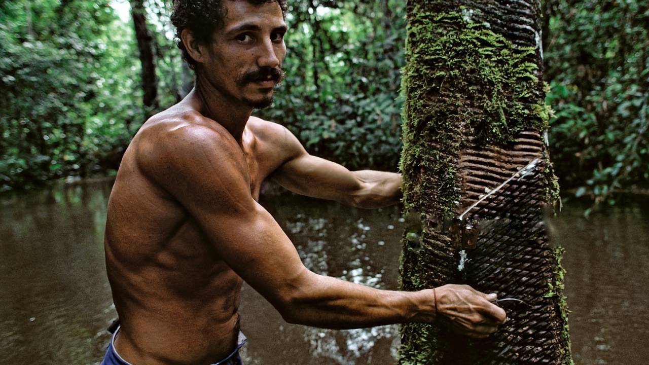 joão-farkas-mis