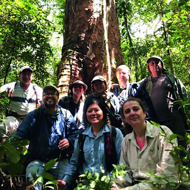 ipa-pesquisadores-descobrem-especies-consideradas-em-extincao-em-sp