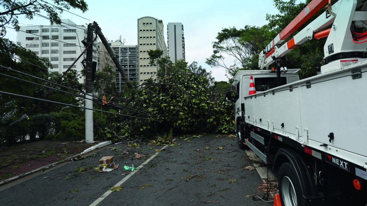 Trabalho pós-queda de árvore na Zona Sul