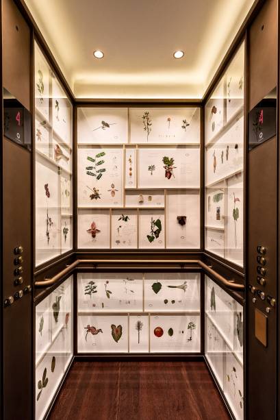 Elevadores do Rosewood tamb&eacute;m guardam pequenos quadros com plantas e elementos de bot&acirc;nica