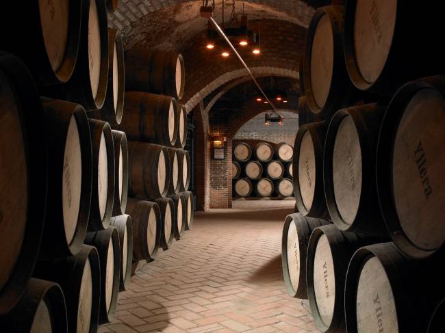 Cópia de A GRUPO YLLERA 111 yllera-toro-vinhos-espanha