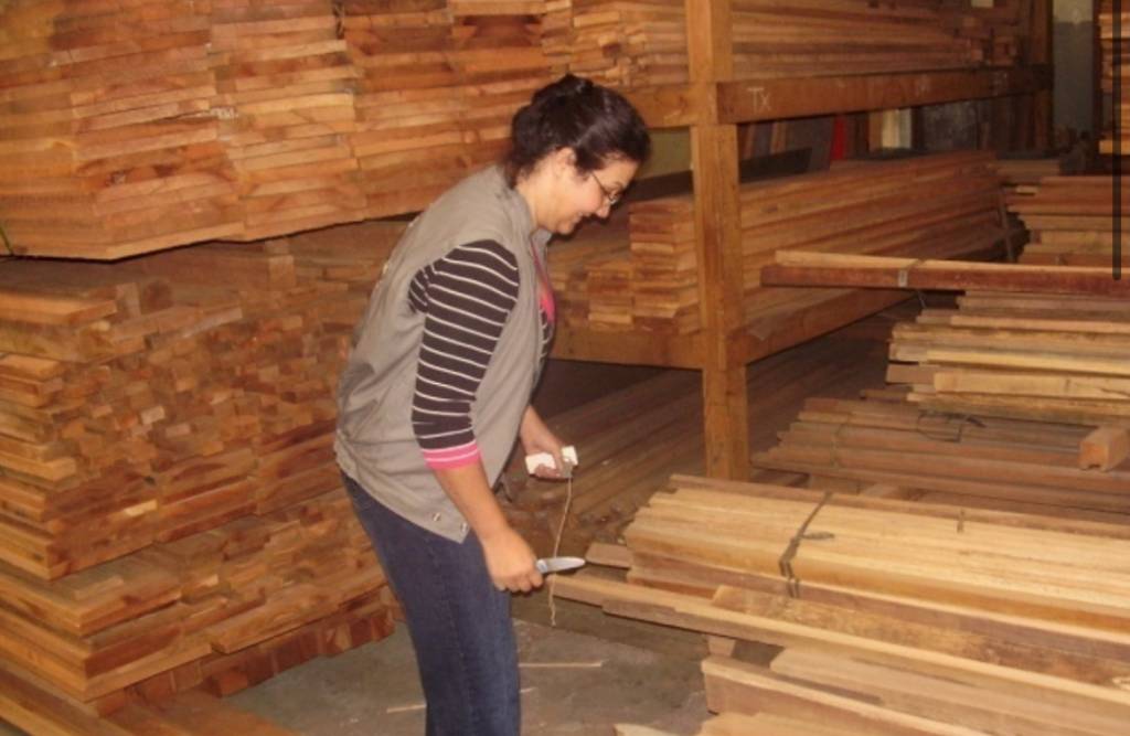 Pesquisadora desenvolve sistema para combate ao contrabando de madeira