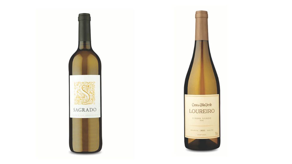 Duas garrafas de vinho com fundo branco