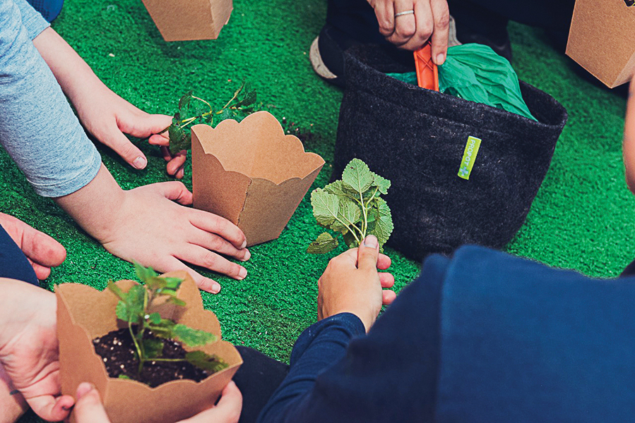 Start Arte apresenta programação de atividades para as férias
