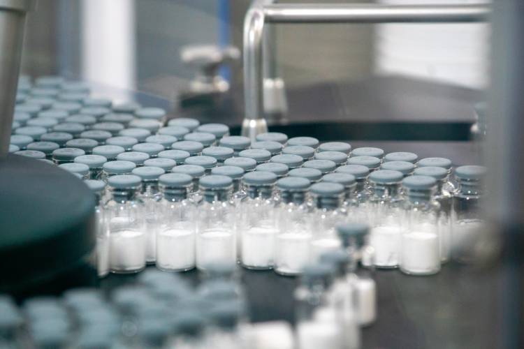 Aumento de casos de febre amarela faz governo de SP intensificar vacinação