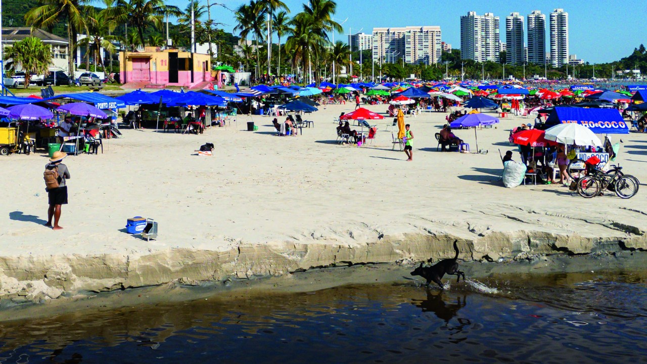 Litoral sp surto virose