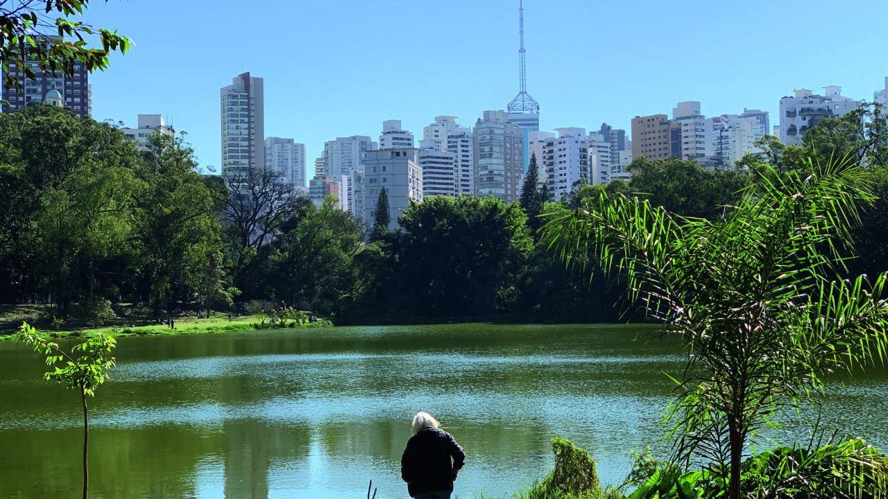 Ibirapuera em dia de sol