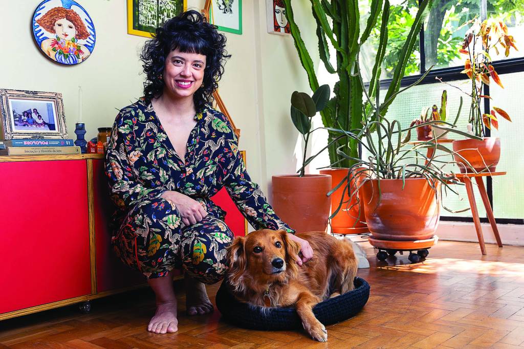 Conheça hotéis bons para cachorro