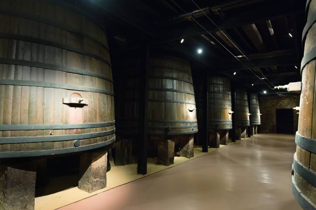 Vinho: as diferenças entre a fermentação espontânea e a controlada