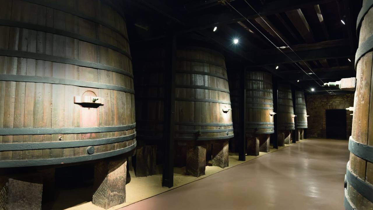 Barris de uvas para fabricar vinhos