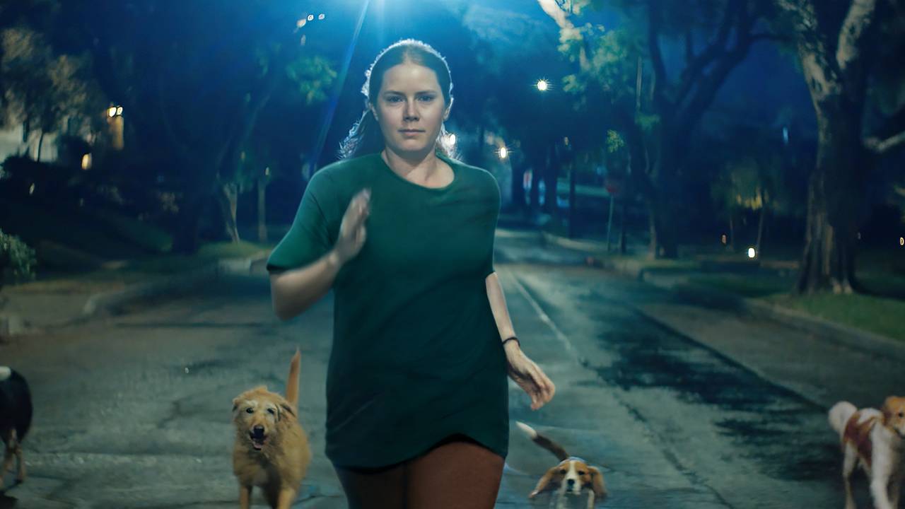 canina-amy-adams