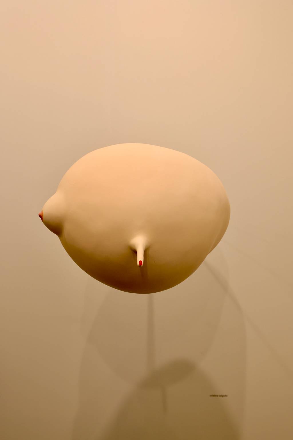 Cristina Salgado Sem título. Série instantâneos (Batata ti), 2002 Técnica Mista 125 x 60 x 60 cm Cristina Salgado, Sem título. Da série instantâneos (Batata ti), 2002